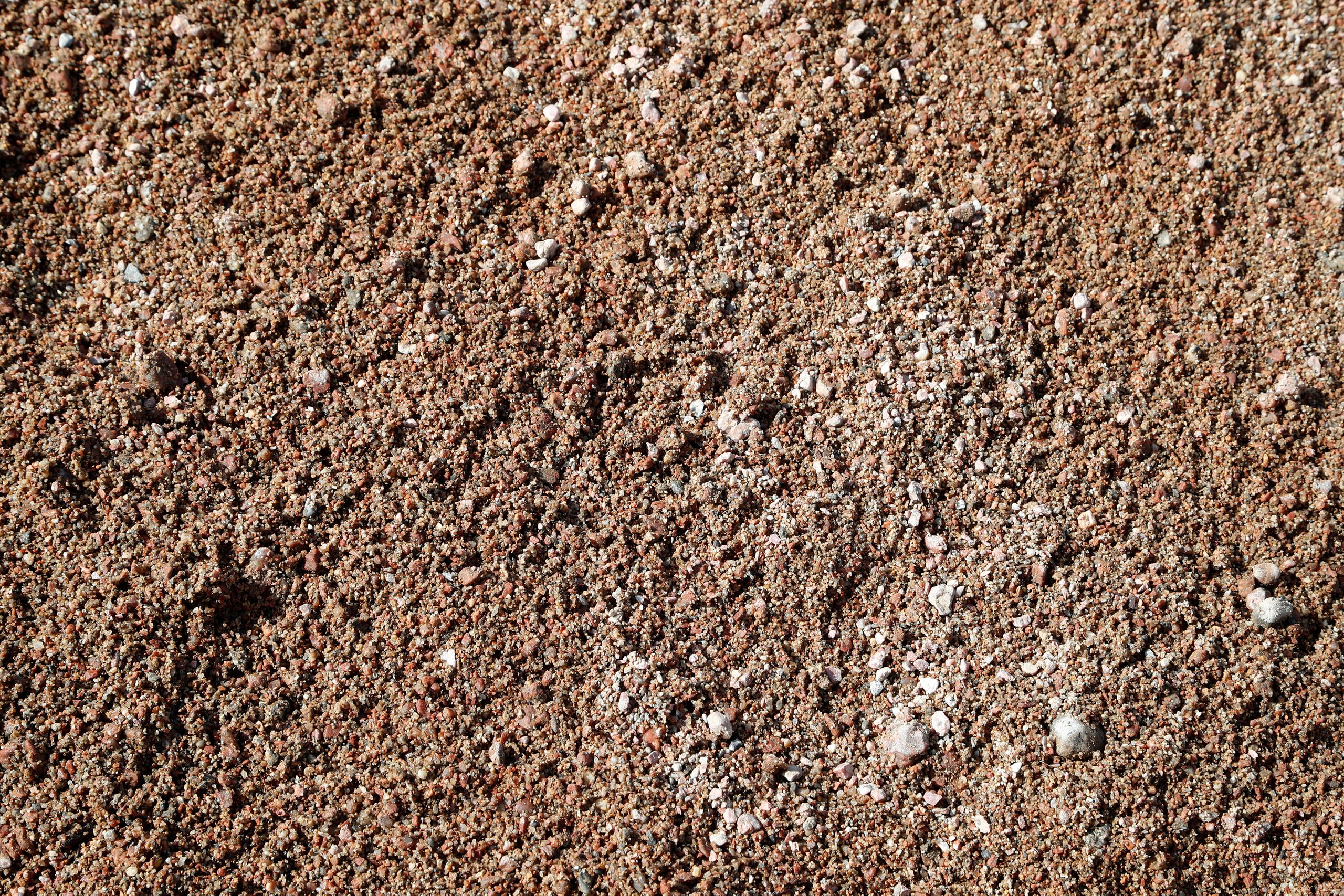 Kultatarvas soranjalostus