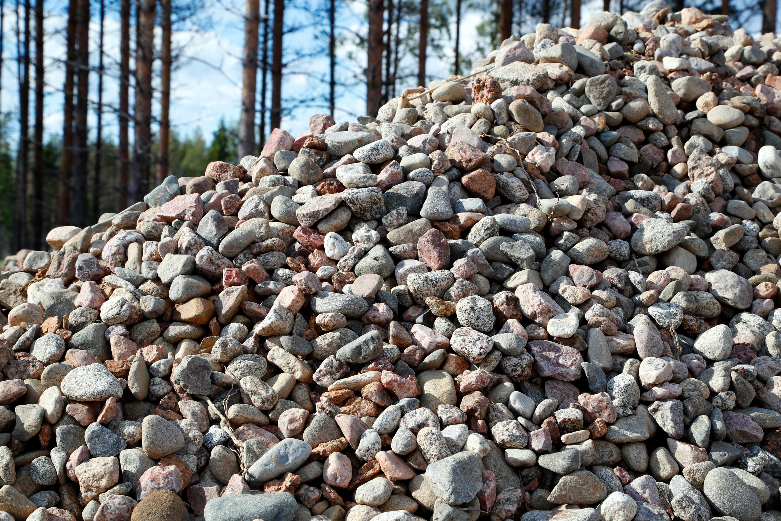 Kultatarvas soranjalostus Kauhajoki